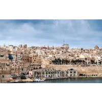 MALTA  șoimului MALTEZ