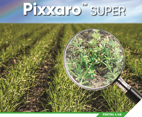 Inovație în agricultură: portofoliul complet de erbicide de la Corteva