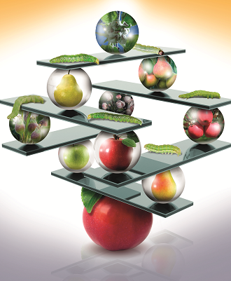 Cum combatem omizile, minatoarele, tripșii și puricii meliferi