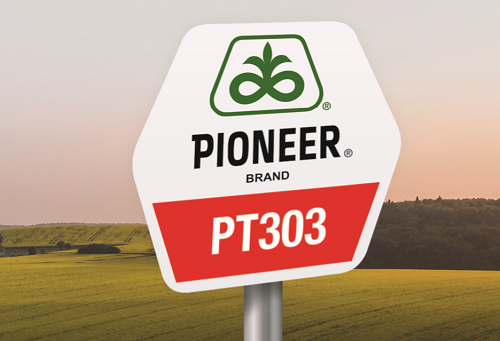 PT303 Sclerotinia Protector – UNIC în Europa