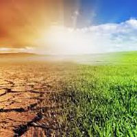 Alăturați-vă discuției despre o agricultură benefică pentru climă!