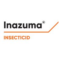 INAZUMA® – SOLUȚIA COMPLETĂ PENTRU COMBATEREA DĂUNĂTORILOR DIN CULTURA DE RAPIȚĂ