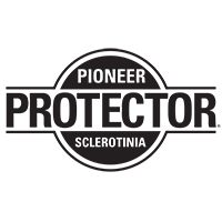 Sclerotinia Protector – o tehnologie unică pentru cultura de rapiță