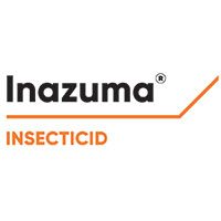 INAZUMA® – SOLUȚIA COMPLETĂ PENTRU COMBATEREA DĂUNĂTORILOR DIN CULTURA DE RAPIȚĂ