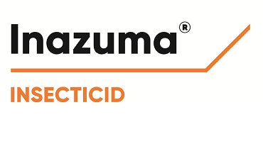 Cum combatem dăunătorii din cultura de rapiță