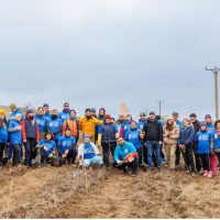 SILVICULTURA la grupa mică