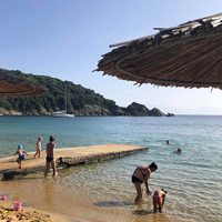 EXPERIMENTE DE VACANȚĂ