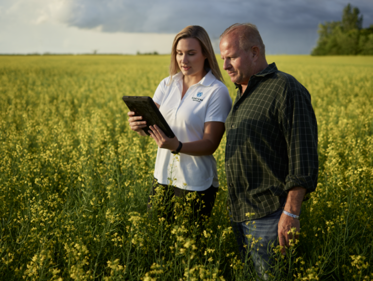 Agricultura regenerativă: transformarea producției alimentare prin soluții digitale