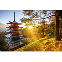 Circuit Japonia, Culorile toamnei 2024-2025