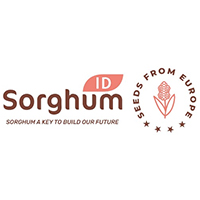 Actualități din sectorul sorgului